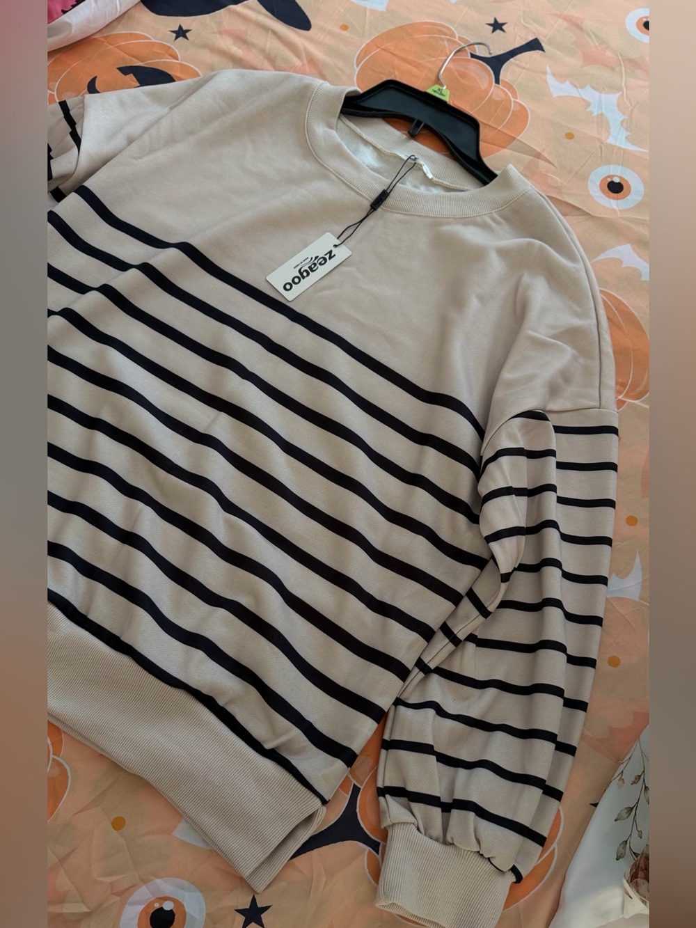 zeagoo Beige and Black Striped Crewneck Sweater